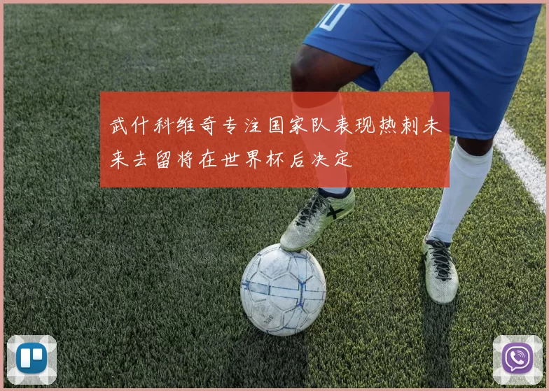 武什科维奇专注国家队表现热刺未来去留将在世界杯后决定