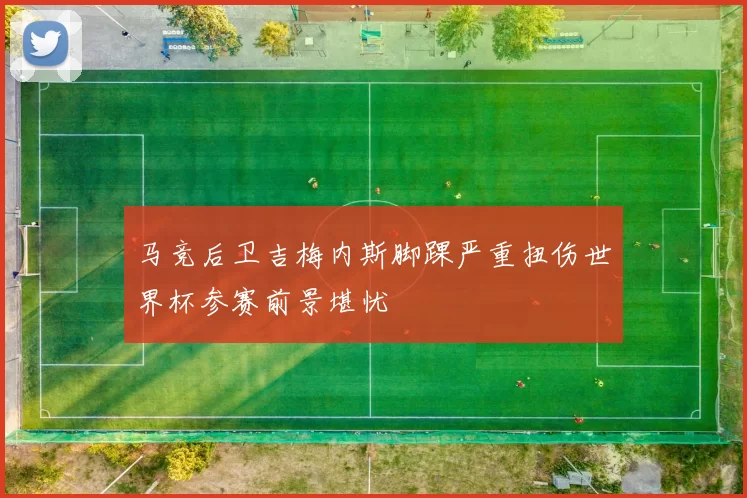马竞后卫吉梅内斯脚踝严重扭伤世界杯参赛前景堪忧